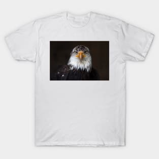 Bald Eagle T-Shirt